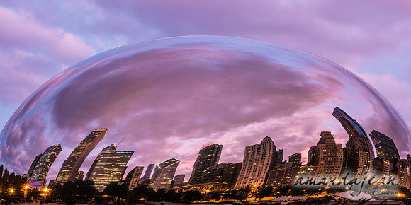 The Bean