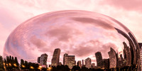 The Bean
