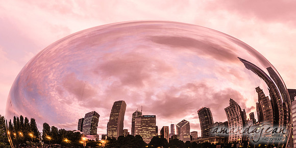 The Bean